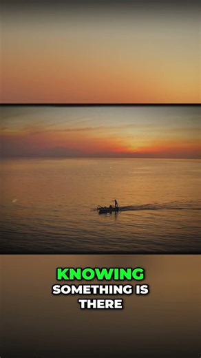 80% of the Ocean is Unknown: What Lurks Beneath?