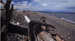 En el Día Mundial del Medioambiente: Primer proyecto documental de Alerta Isla Riesco | The Clinic