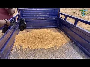 Boost Your Soybean Yields! Learn How to Use Inoculants the Right Way #smallholderfarmers #soybeans