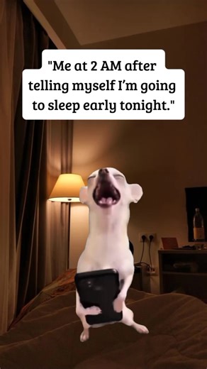 Exploring Introvert Memes on TikTok