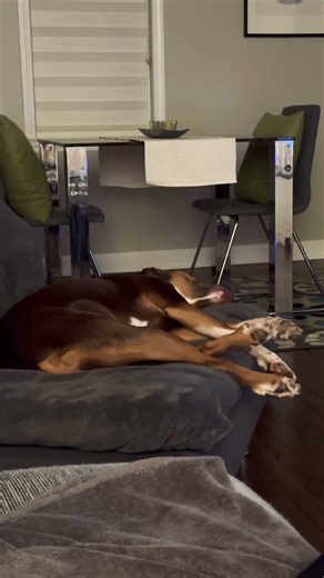 Dream Mode: Legs Going Full Speed