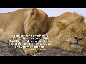 Reflections on Daystar TV // Music for Prayer and Reflection Time with God