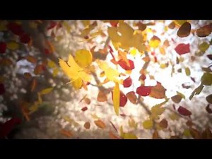 Fall Leaves Looping Wallpaper