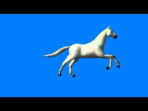 blue screen effect - horse in gallop 1