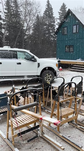 Campbell’s Racing Sled Dogs on Reels