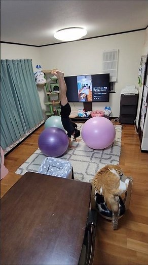 Bloopers: Surfing Johnny 🎵 Keisuke Kuwata 🎶 #UnfazedCat #TrustAcrobatics x Balance Ball Imagining...
