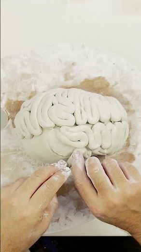 How to sculpt a brain using #airdryclay 🧠 Full tutorial is on our channel! #halloweencrafts