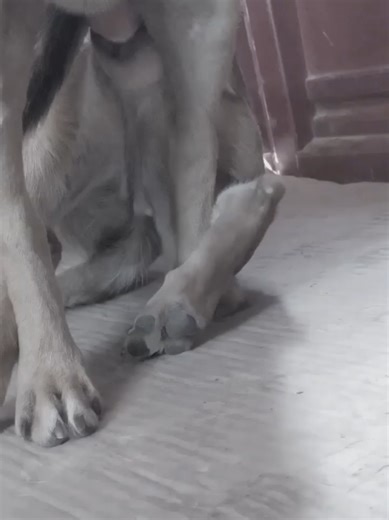 ‏#foryou #foryoupage #videoviral #tiktok #unfreezemyaccount | video viral