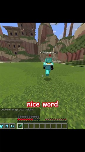 Wild PVP Goose Chase