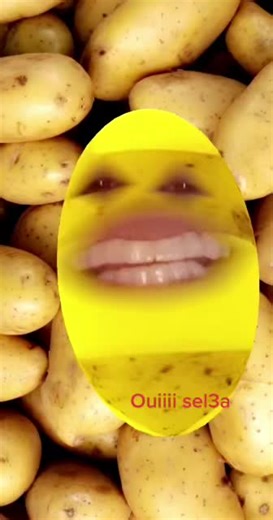 Exploring Unique Potato Varieties in Close-Up