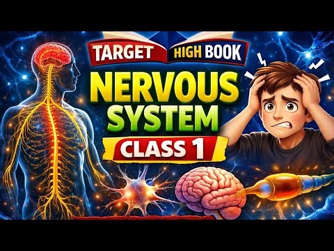 Target high book nervous system -01