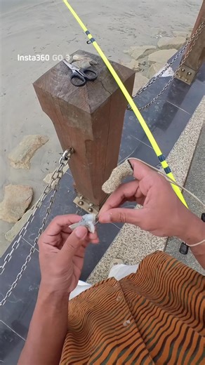 set up mancing tanjung api