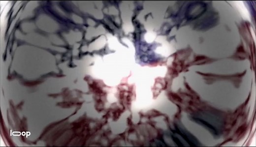 D.Gray-man (TV Series 2006–2008)