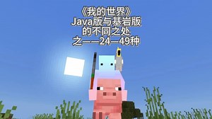 《我的世界》Java版与基岩版的不同之处之——24—49种