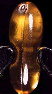 High-Speed Macro: Softgel Burning in Slow Motion