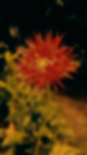 Maniwala ka✨ Kung para sayo para sayo talaga👌 God will close the doors na di para sayo at magbubukas ng mga pintong nakatakda xau 😇 #MotivateD #highlights #followerseveryone #everyonefollowers #motivation | Tesda MD Korean Language Tutorial Center