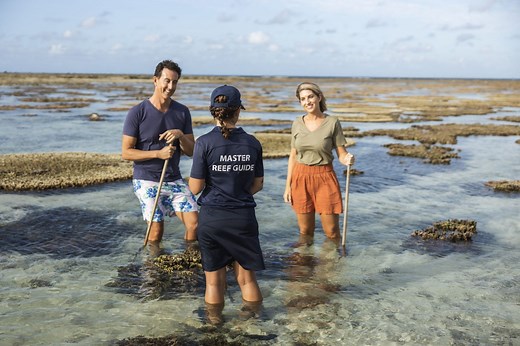 Ways to help the Great Barrier Reef