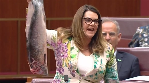 ‘Irrational nonsense’: Greens criticised over salmon stunt