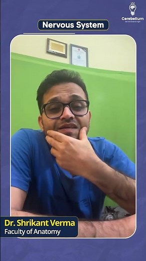 A Simple Explanation of the Nervous System by Dr. Shrikant Verma | Cerebellum Academy