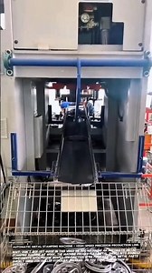 How an Octopus Squeezes Into a Tiny Hole – Amazing Flexibility Demonstration.