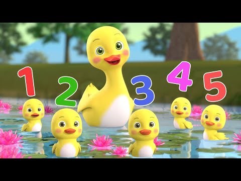 Five Little Ducks Went Out One Day | Classic Kids Song & Baby Learning Video