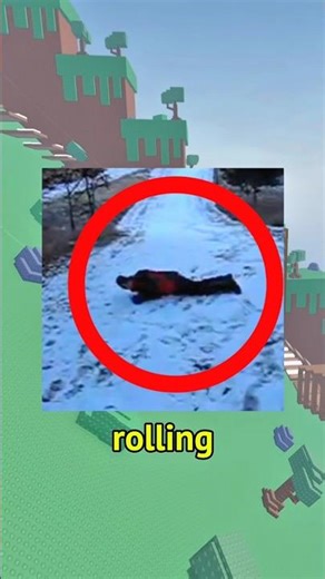 What Is The First Deleted Youtube Video