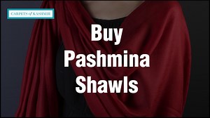 Buy Pashmina Shawls in Mumbai