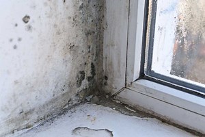 Comment faire respirer un mur humide ?