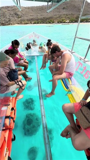 Best tour in Curacao #beachlife #travel #oceanparadise #fun #paradise