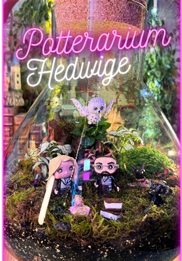 Potterarium de Frédérique 🌱✨ Contenant : E3 🫧 Si toi aussi tu veux ton Potterarium personnalisé, envoie-moi un message privé pour avoir ma grille tarifaire 🤭 • ##terrarium##plants##harrypotter##potterhead
