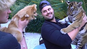 YouTuber Logan Paul's Video Featuring Tiger Cub Leads to Charges Against the Animal's Owner