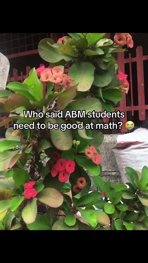 ABM Strand Courses: A Guide for Future Students
