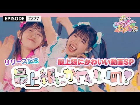 【最上級🌟】最上級にかわいいの！リリース記念🎉 最上級にかわいい動画祭り🫶🥰 / epi.277
