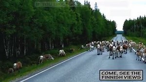 When your national anthem gets a makeover and you can't stop singing it. | Very Finnish Problems