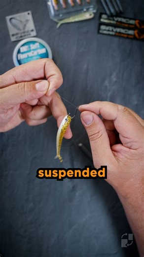 🎣 Drop Shot Made Easy Did you know how simple it is to rig a drop shot setup? ✨ What you’ll need: 🟠Soft bait (I’m using the Dying Minnow) 🟠Size 8 hook 🟠3.5g drop shot weight 🟠Fluorocarbon line 🟠Scissors ✂️ ⚡ Step-by-step: 1️⃣ Cut 100–150 cm of fluorocarbon. 2️⃣ Thread the line through the hook eye and form a loop. 3️⃣ Twist the hook through the loop 3 times and tighten — the hook should stand upright. 4️⃣ Tie an overhand knot at the end of the line and attach the weight. 5️⃣ Hook the Dying