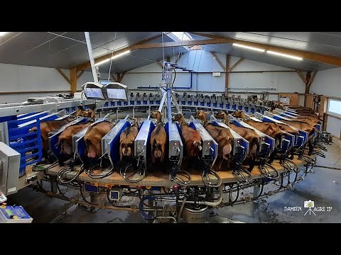 Traite des chèvres / Roto de traite 64 places / GAEC DU PONT