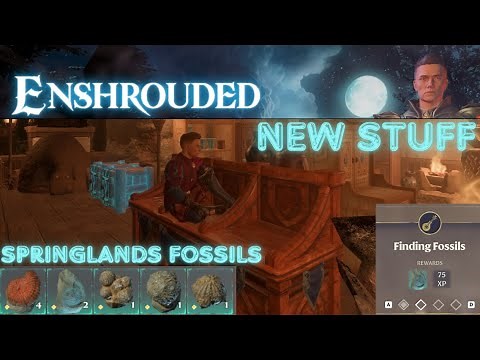 Enshrouded | Where to find The Springlands Fossils
