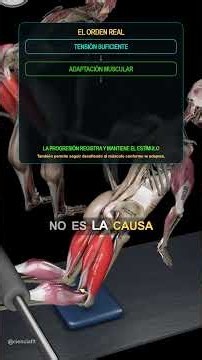 La Sobrecarga Progresiva NO Funciona Como Crees