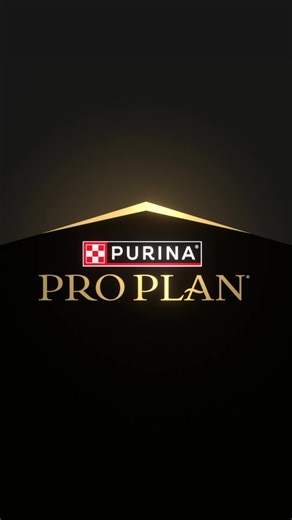 Con el fin de mejorar la vida de tu mascota, nuestros más de 500 científicos combinan nutrición y ciencia en cada fórmula Pro Plan®. #ProPlanCAM | Purina Pro Plan