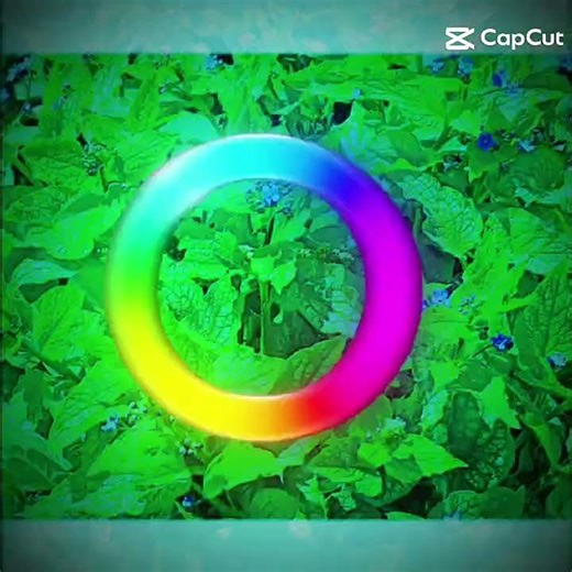 rainbow wheel of pics i took of flower's! :D