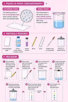 Detailed Overview of Paper Chromatography | Principle, Types, Rf Value, Applications #chemistry#neet