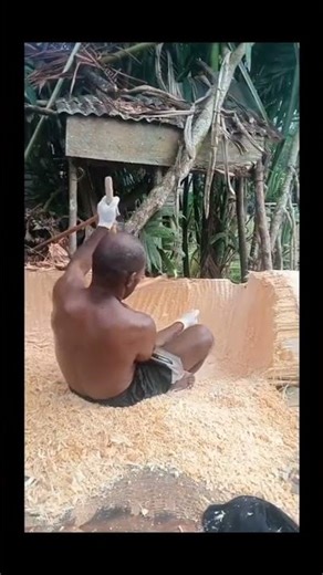 the process of making sago in the Papuan style #shorts