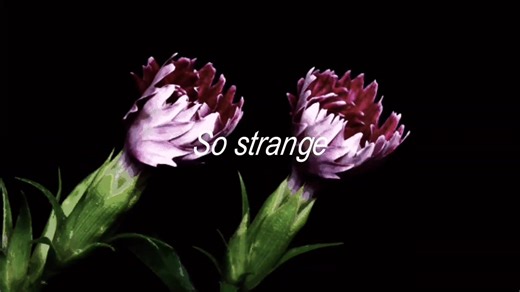 #VOID | • VOID (versión acústica) 🤍 | Video hecho por nuestro Admin (@ANGIUXX ) | 🏷: #musica #melsxtay #melaniemartinez #parati @Melanie Martinez