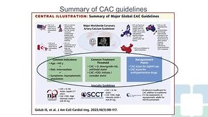 Who Should Get a CAC? How Often? How to Use the Results to Assess Risk?