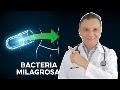 The Secret Probiotic That Reduces Belly Fat (Doctor Explains)