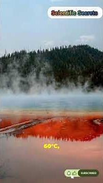 The Lake That Turns Animals to Stone 🗿 Lake Natron #Nature