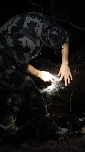Field Dressing a Bison at Night in the Yukon | Winter Hunt Work After the Shot #BisonHunting