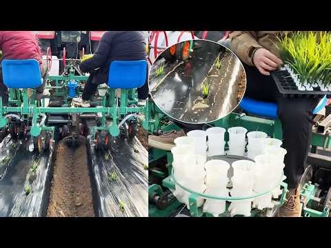 Tractor Vegetable Transplanter | 4 Row Transplanting Machine with Mulch Laying & Watering #planter