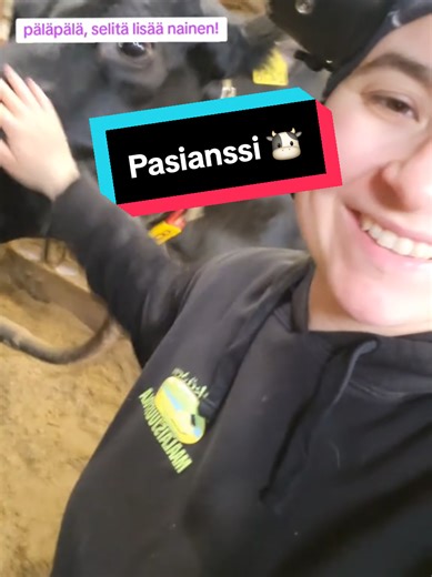 Pasianssi tykkäs 👀 #lehmät #kotimaisuus🇫🇮🇫🇮 #kuusamo #pitkäsenmaalaisjuustola