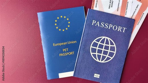 A pet passport is a document with vaccination and travel information for a cat, dog, or other animal. A pet passport as a background for your design.